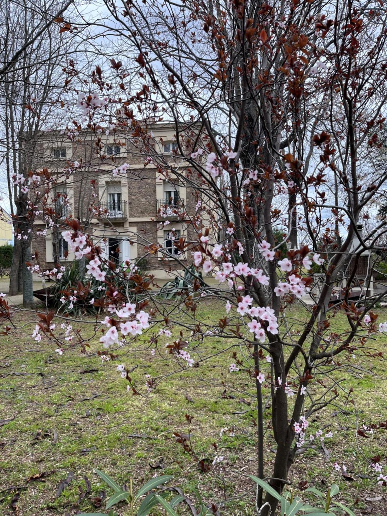 Villa Merenciana Agoncillo Eksteriør bilde